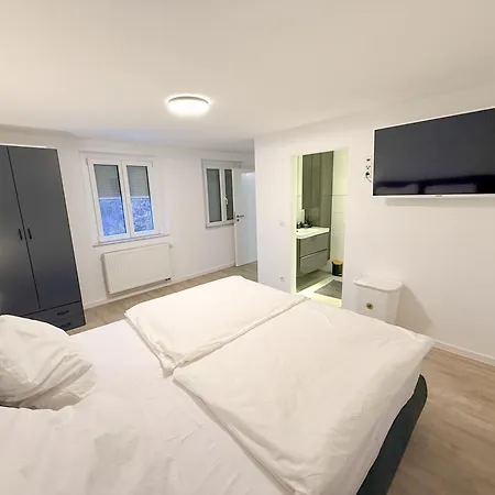 Modernes Haus Direkt Am Rhein Apartamento *