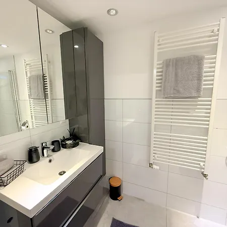 Appartamento Modernes Haus Direkt Am Rhein *